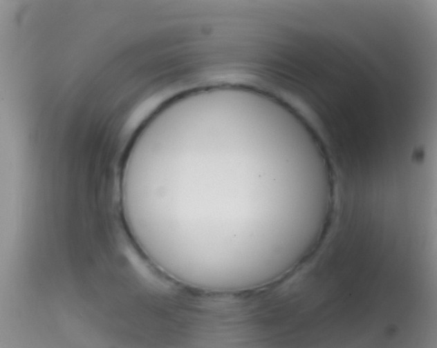 X0000114401031200910161051
