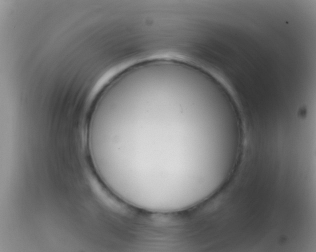X0000114401032200910161051