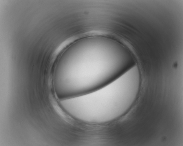X0000114401034200910161051