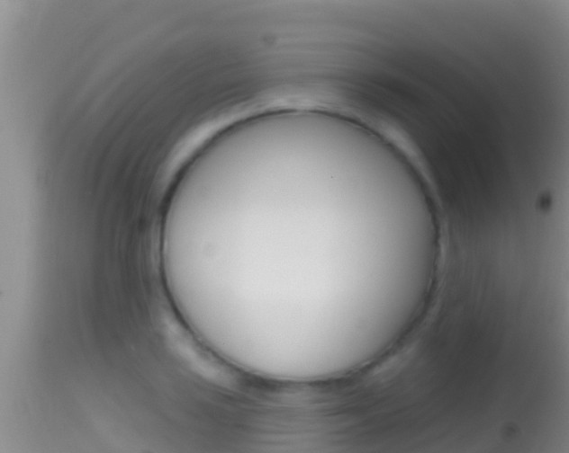 X0000114401035200910161051