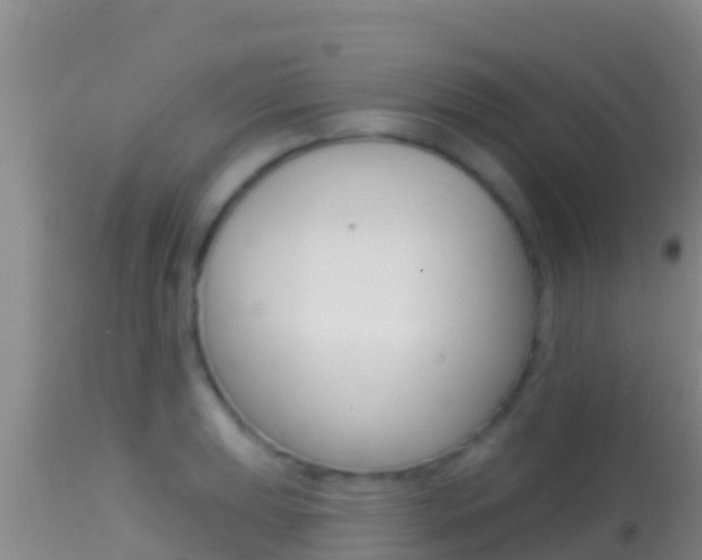 X0000114401039200910161051