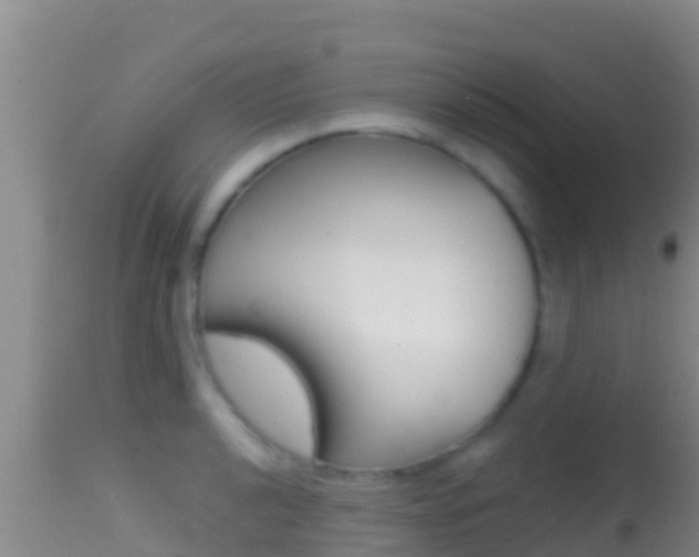 X0000114401040200910161051