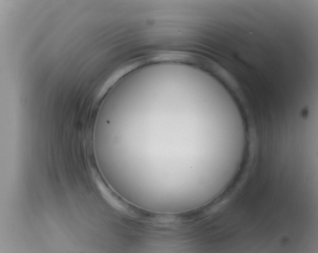 X0000114401041200910161051
