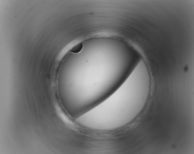 X0000114401042200910161051