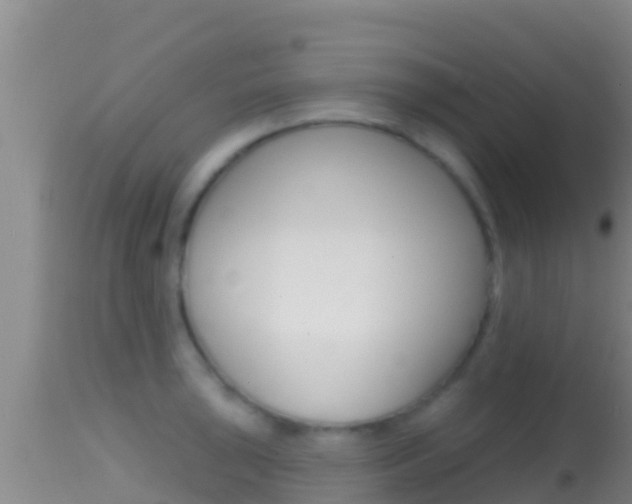 X0000114401043200910161051