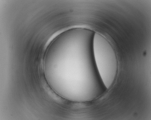 X0000114401044200910161051