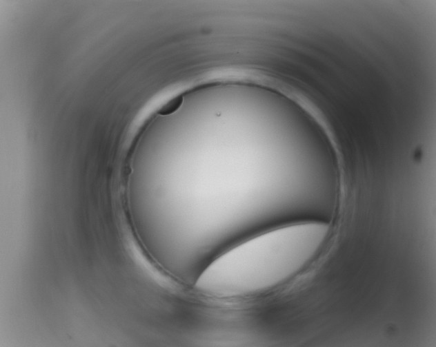 X0000114401045200910161051