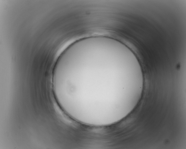 X0000114401047200910161051