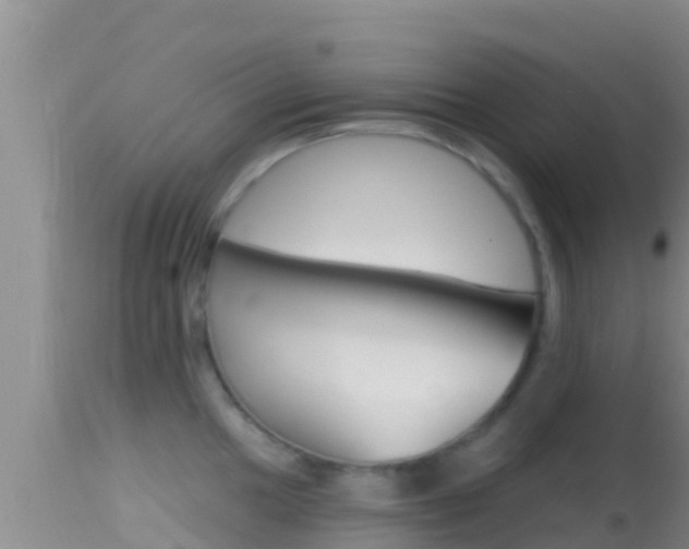 X0000114401049200910161051