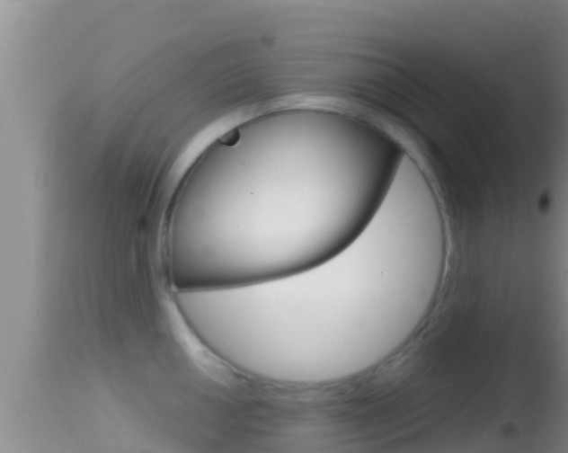 X0000114401050200910161051