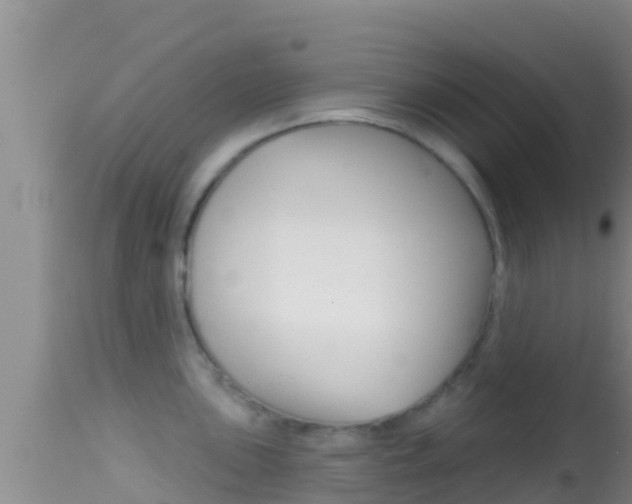 X0000114401051200910161051
