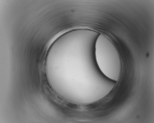 X0000114401052200910161051