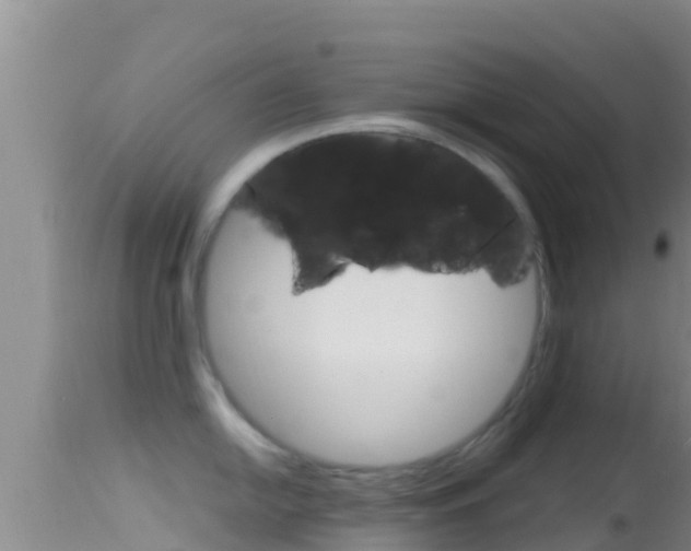 X0000114401054200910161051