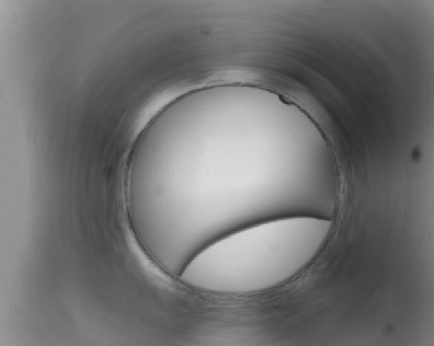 X0000114401055200910161051
