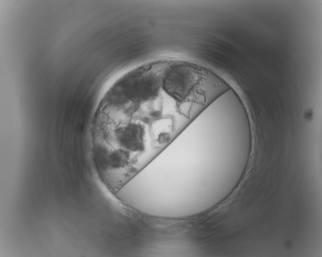 X0000114401056200910161051