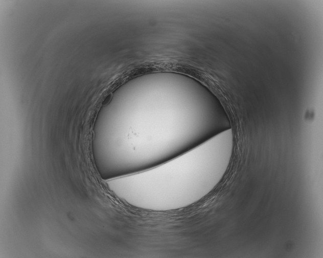 X0000114401057200910161050