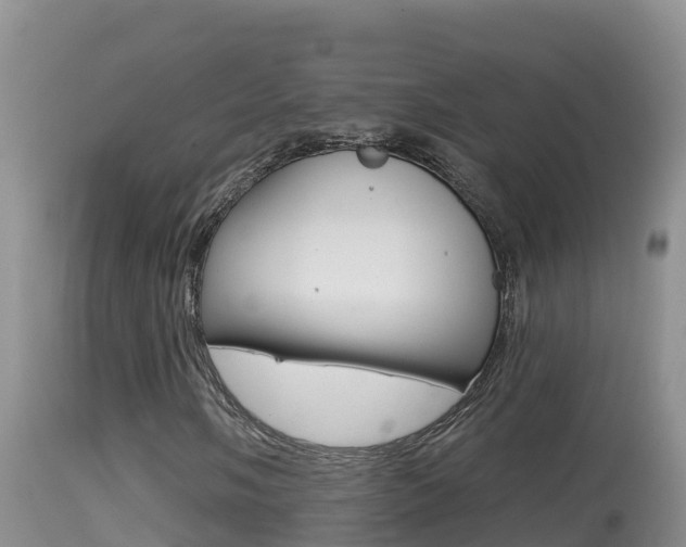 X0000114401058200910161050