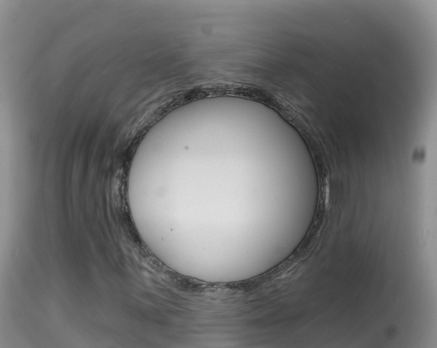 X0000114401059200910161050