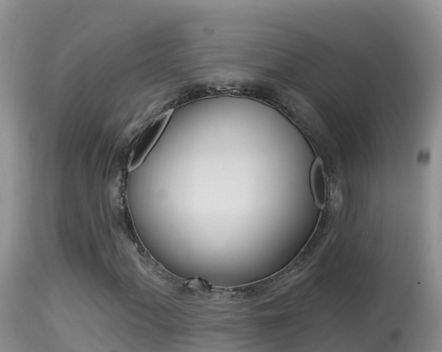 X0000114401060200910161050