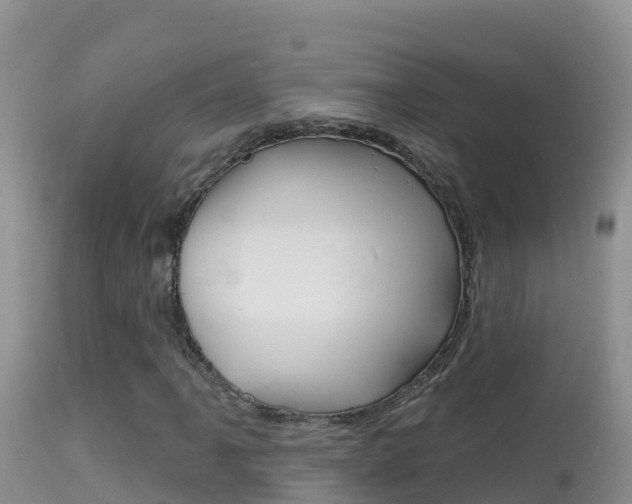 X0000114401061200910161050
