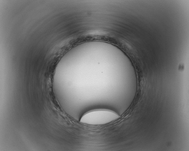 X0000114401062200910161050