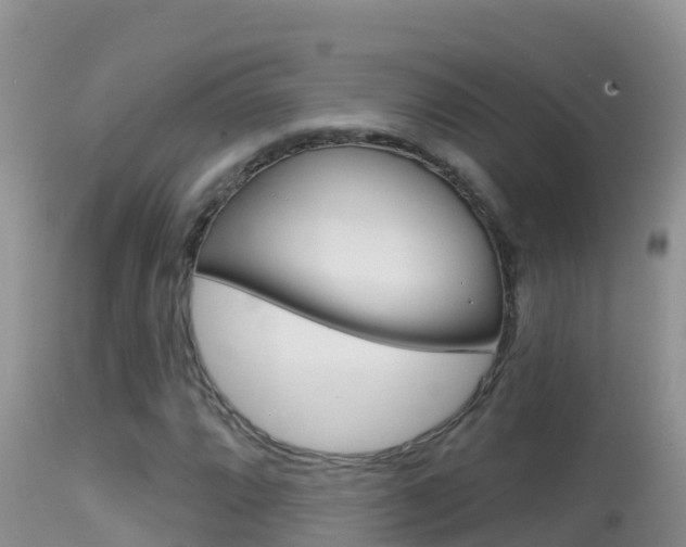 X0000114401064200910161050