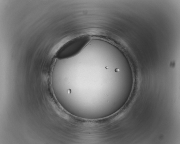 X0000114401065200910161050