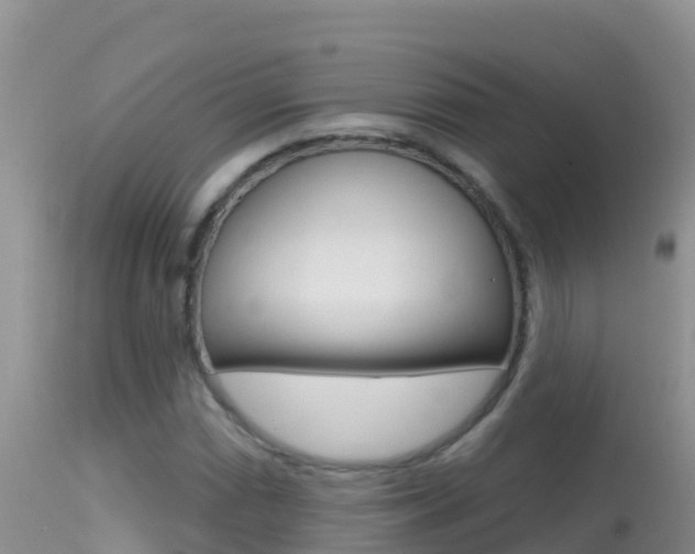 X0000114401066200910161050