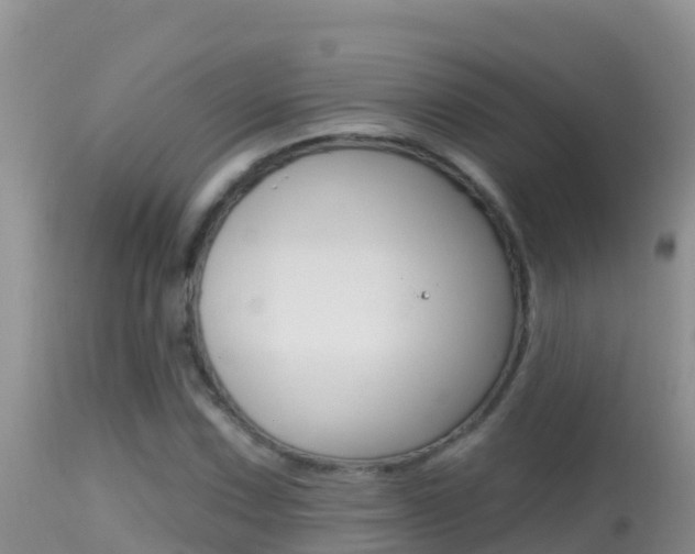 X0000114401067200910161050