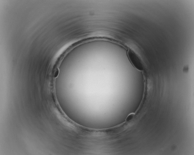 X0000114401068200910161050