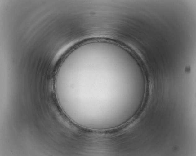 X0000114401069200910161050