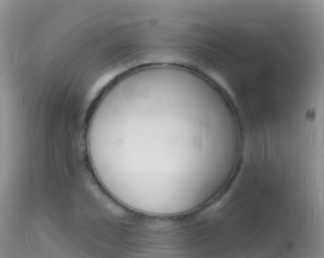 X0000114401071200910161050
