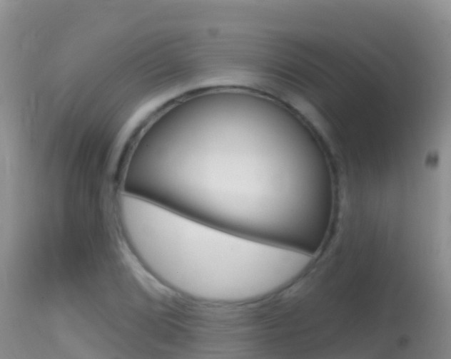 X0000114401072200910161050