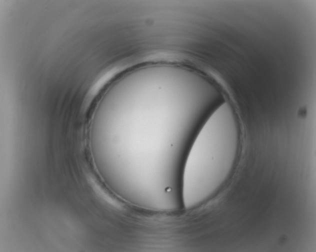 X0000114401075200910161050
