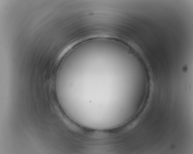X0000114401081200910161050
