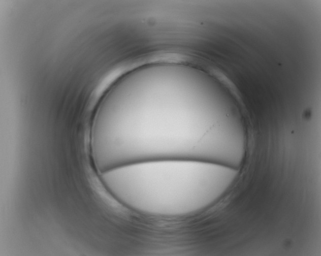 X0000114401083200910161050