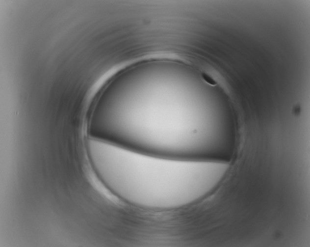 X0000114401084200910161050