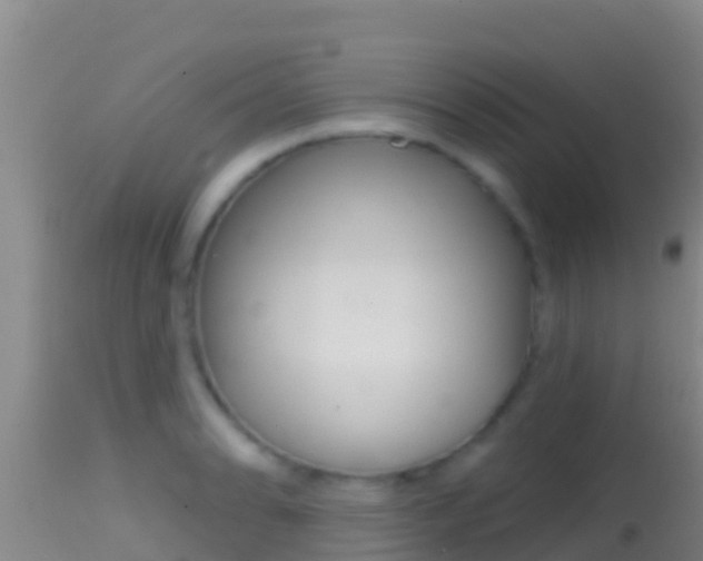 X0000114401086200910161050