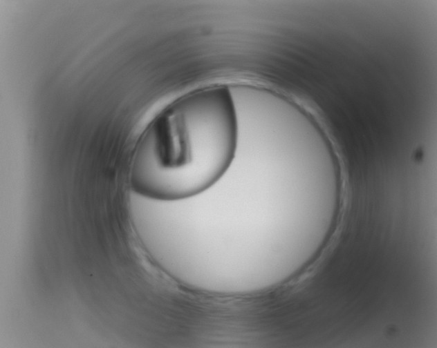 X0000114401089200910161050