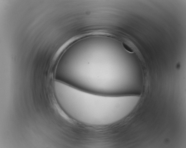 X0000114401092200910161050