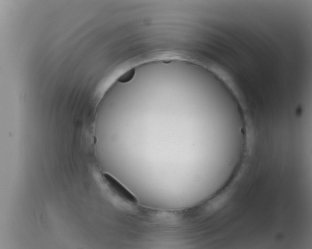 X0000114401097200910161050