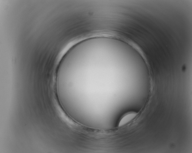 X0000114401099200910161050