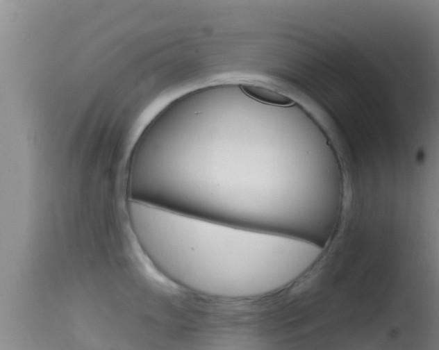 X0000114401102200910161050
