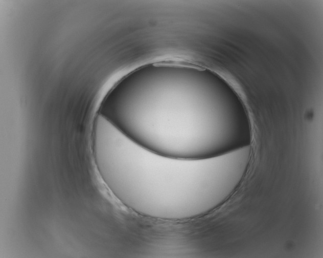 X0000114401104200910161050
