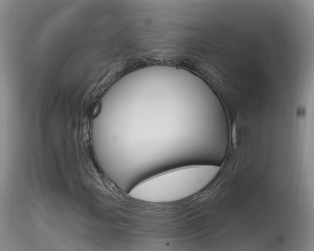 X0000114401107200910161049