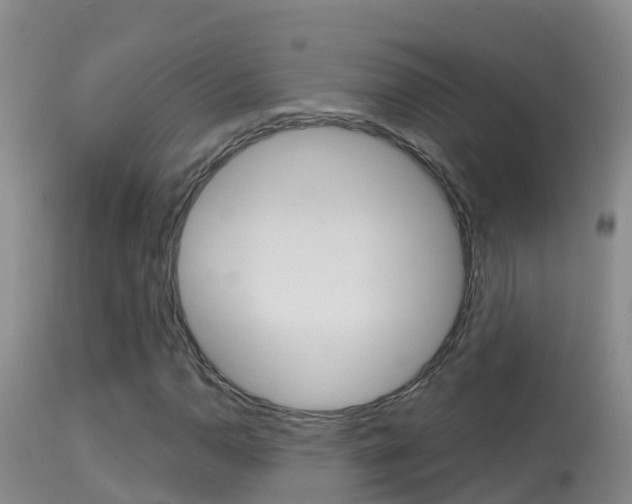 X0000114401110200910161049