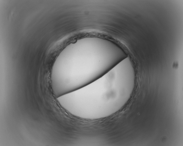 X0000114401111200910161049