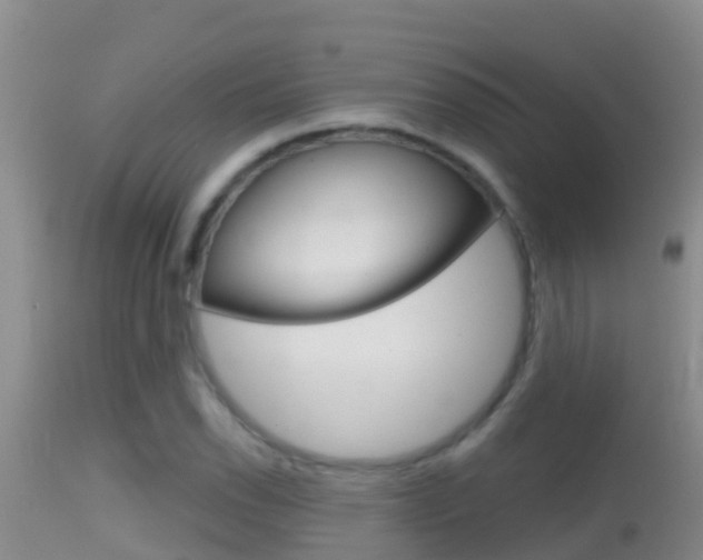 X0000114401118200910161049