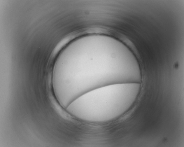 X0000114401130200910161049