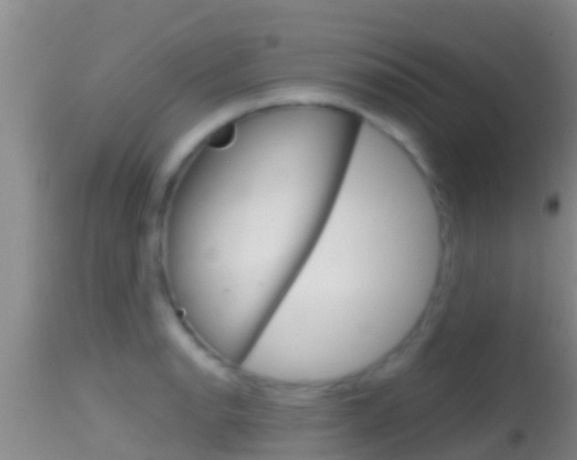 X0000114401134200910161049